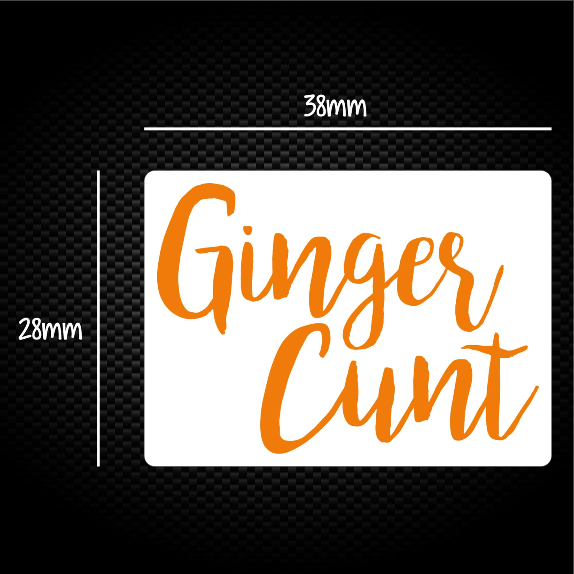 Ginger Cunt Sticker Pack Rude Stickers Slightly Disturbed