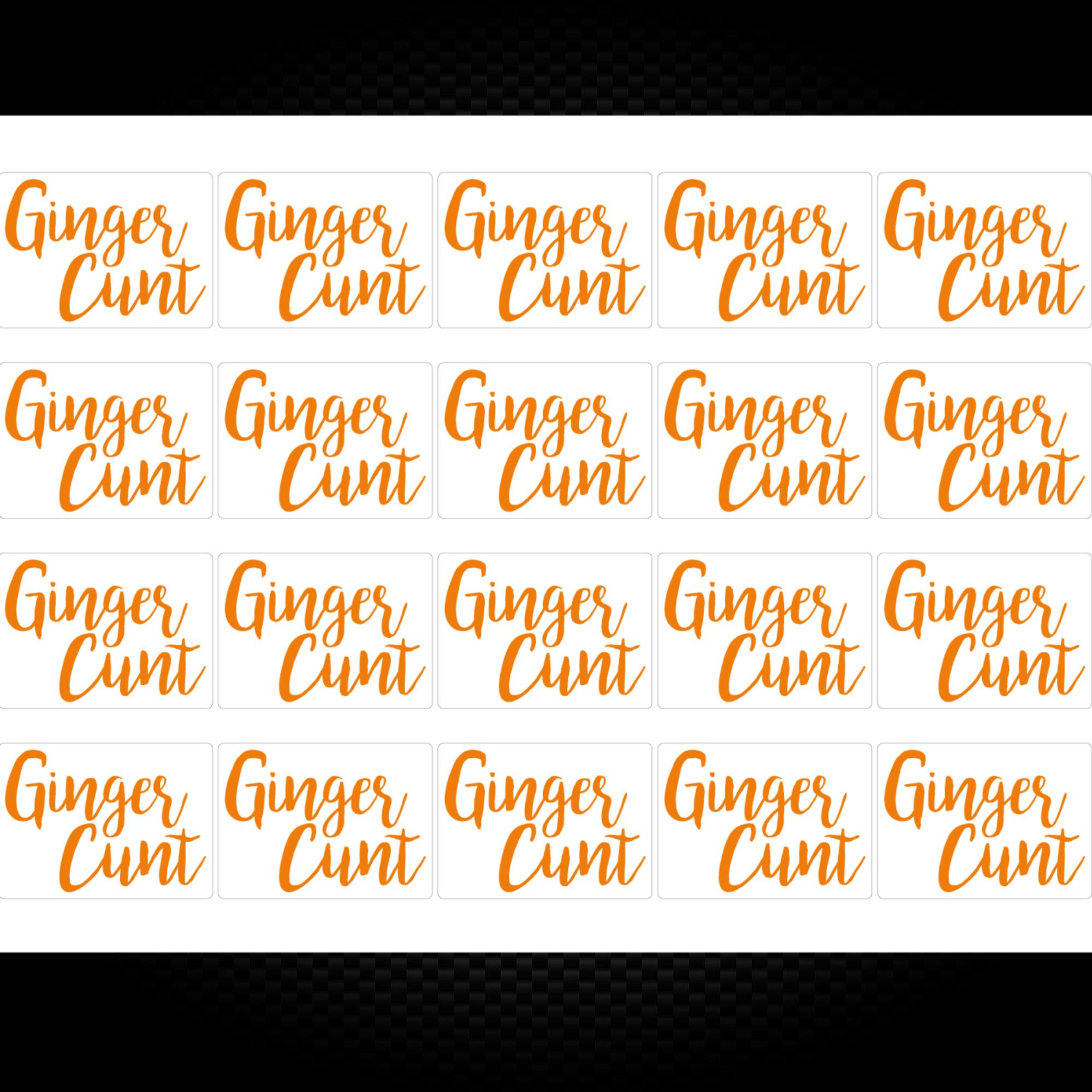 Ginger Cunt Sticker Pack Rude Stickers Slightly Disturbed 