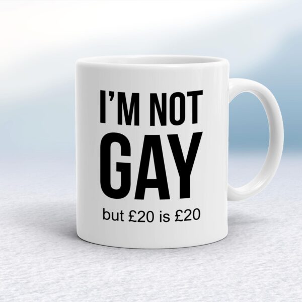 I'm Not Gay But £20 Is £20 - Rude Mugs - Slightly Disturbed - Image 1 of 14