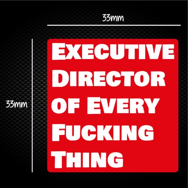 Executive Director of Every Fucking Thing - Rude Sticker Packs - Slightly Disturbed - Image 1 of 1