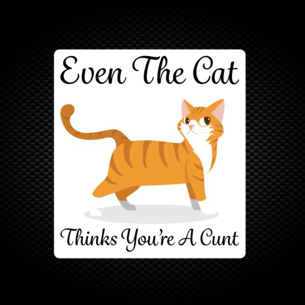 Even The Cat Thinks You're A Cunt - Rude Vinyl Stickers - Slightly Disturbed - Image 1 of 1