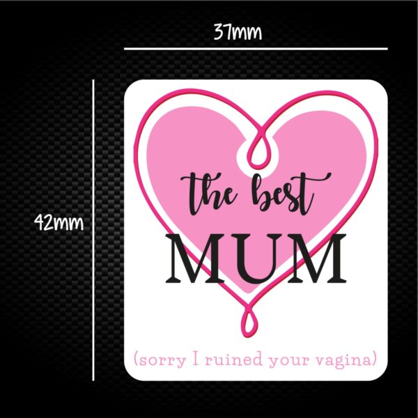 The Best Mum (Sorry I Ruined Your Vagina) - Rude Sticker Packs - Slightly Disturbed - Image 1 of 1