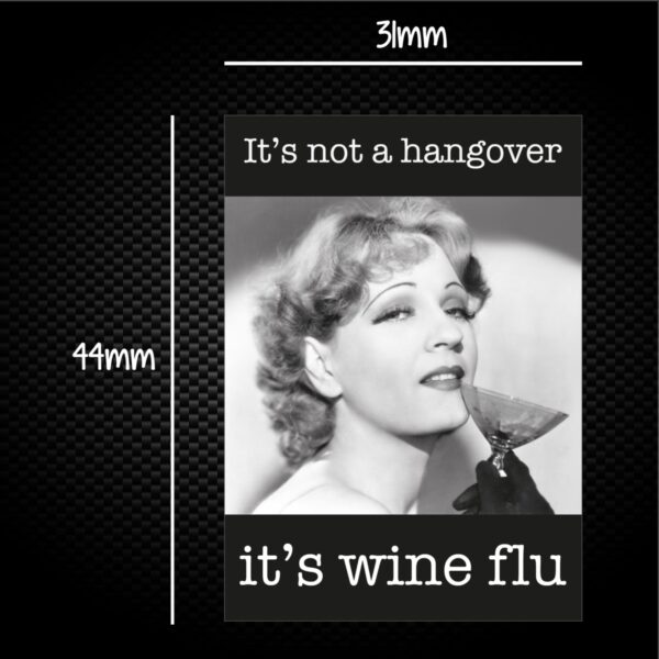 It's Not A Hangover It's Wine Flu - Novelty Sticker Packs - Slightly Disturbed - Image 1 of 1