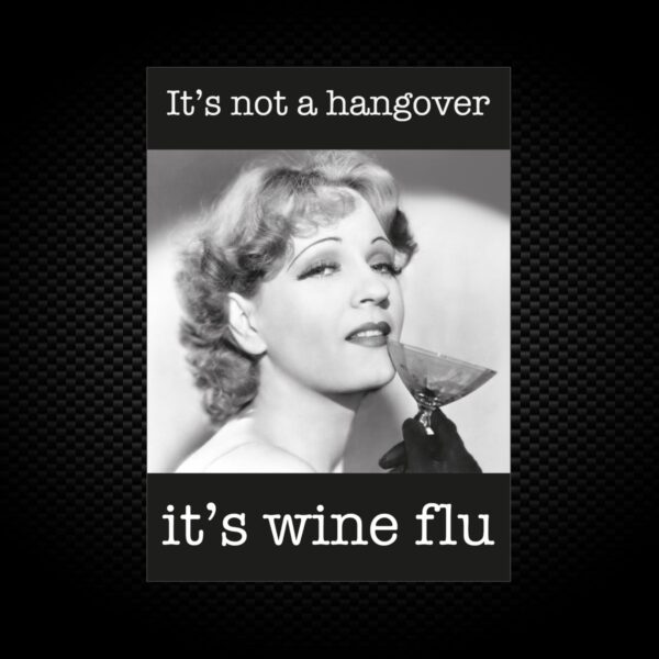 It's Not A Hangover It's Wine Flu - Novelty Vinyl Stickers - Slightly Disturbed - Image 1 of 1