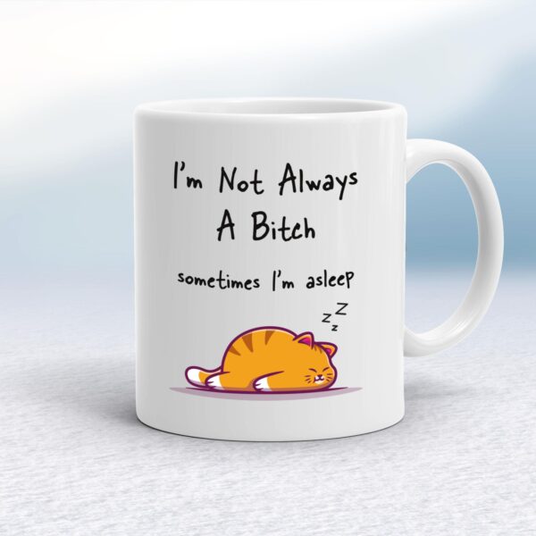 I'm Not Always A .... Sometimes I'm Asleep - Rude Mugs - Slightly Disturbed - Image 1 of 56