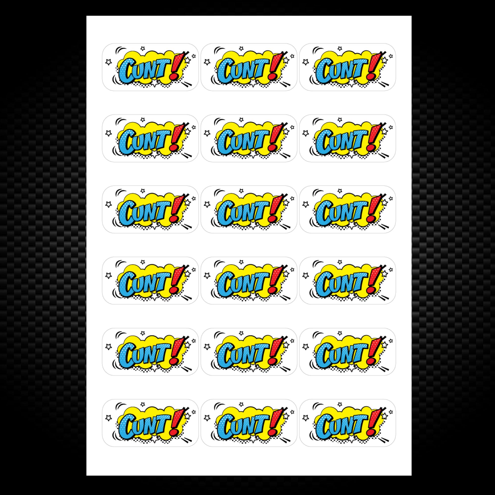 Pop Art Style Cunt Sticker Pack Rude Stickers Slightly Disturbed 