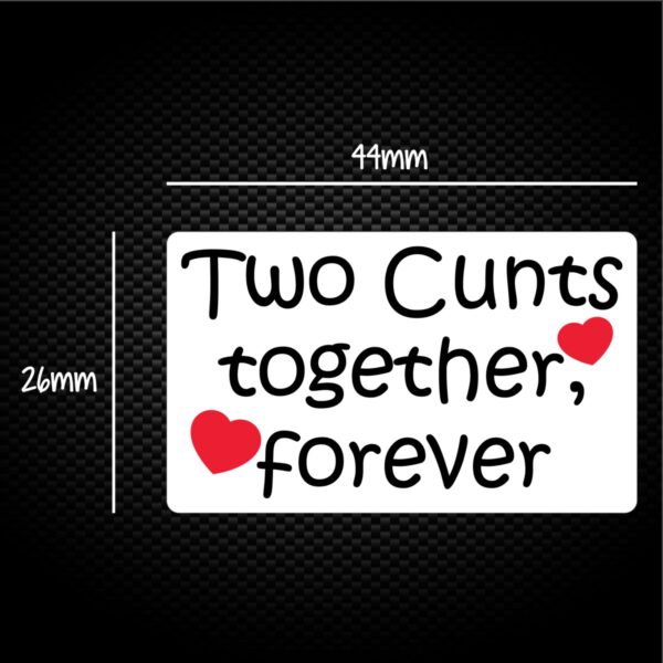 Two Cunts Together Forever Sticker Pack Slightly Disturbed