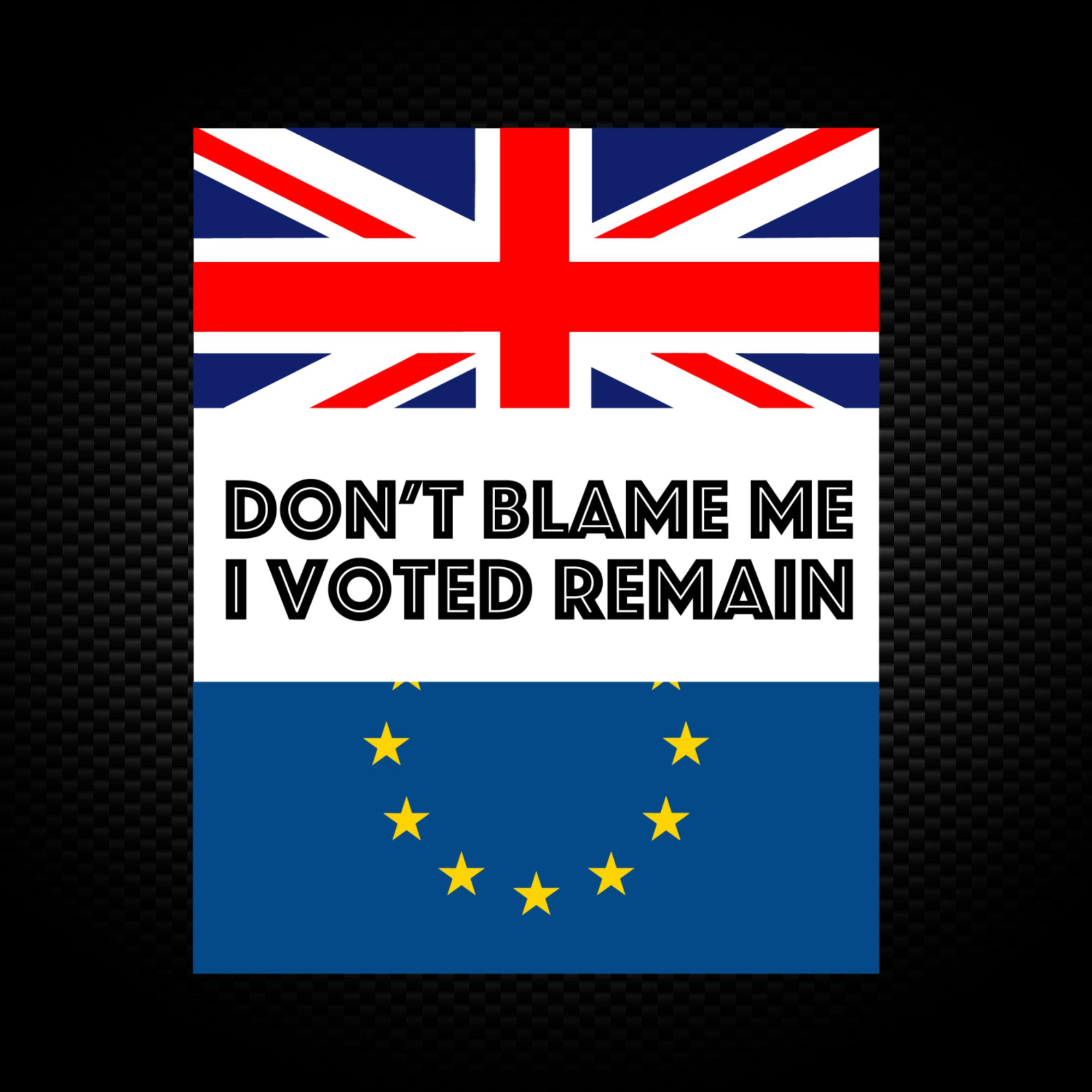 Don't Blame Me I Voted Remain Vinyl Sticker - Slightly Disturbed