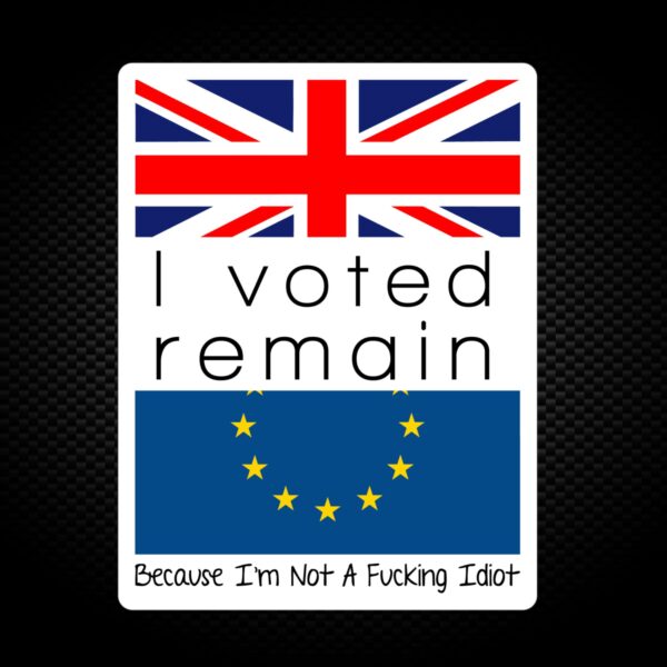 I Voted Remain Because I'm Not A Fucking Idiot - Rude Vinyl Stickers - Slightly Disturbed - Image 1 of 1