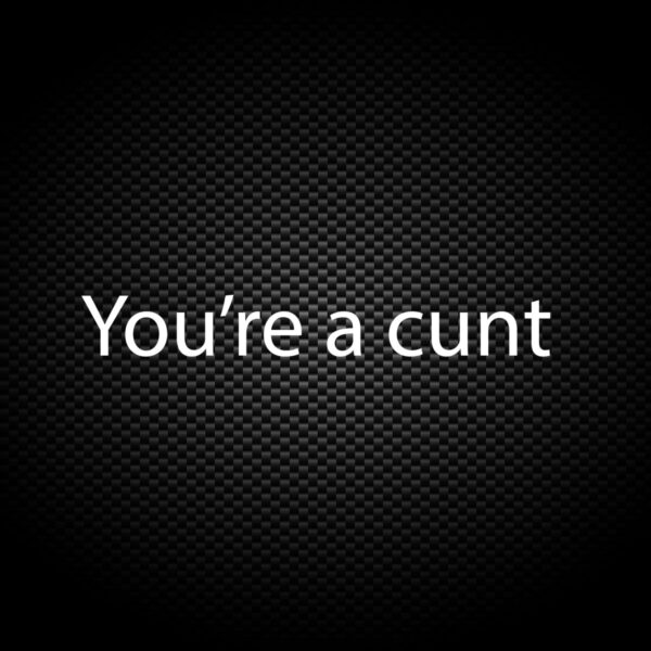 You're A Cunt - Rude Vinyl Stickers - Slightly Disturbed - Image 1 of 2