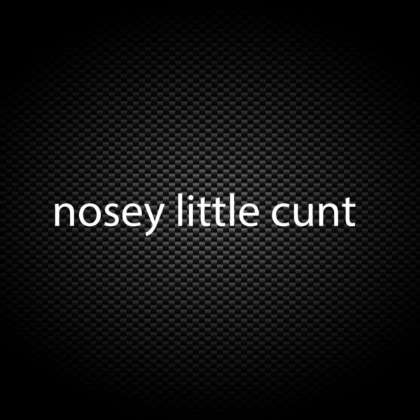 Nosey Little ... Swearing - Rude Vinyl Stickers - Slightly Disturbed - Image 1 of 6