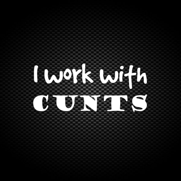 I Work With Cunts - Rude Vinyl Stickers - Slightly Disturbed - Image 1 of 2