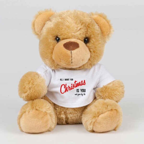 All I Want For Christmas - Rude Swear Bear - Slightly Disturbed - Image 1 of 4