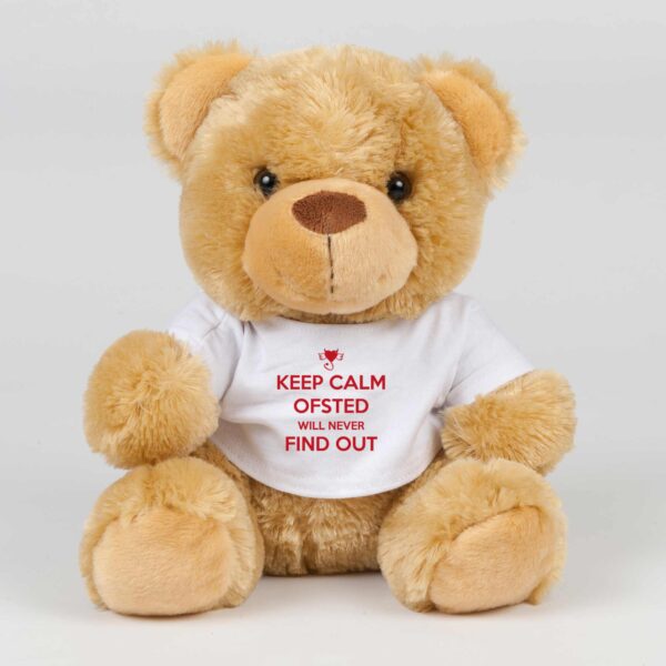 Keep Calm Ofsted Will Never Find Out - Novelty Swear Bear - Slightly Disturbed - Image 1 of 2