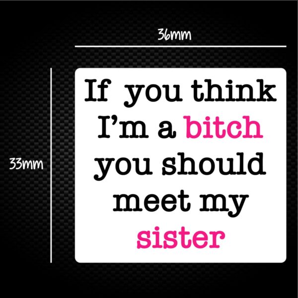 If You Think I'm a Bitch - Rude Sticker Packs - Slightly Disturbed - Image 1 of 2
