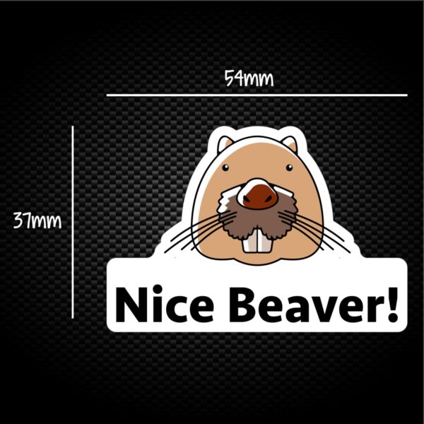 Nice Beaver (Coloured) - Novelty Sticker Packs - Slightly Disturbed - Image 1 of 1