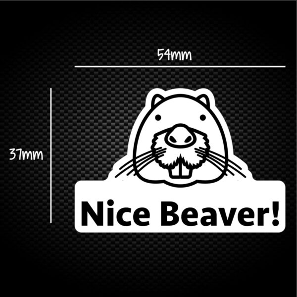 Nice Beaver - Novelty Sticker Packs - Slightly Disturbed - Image 1 of 1