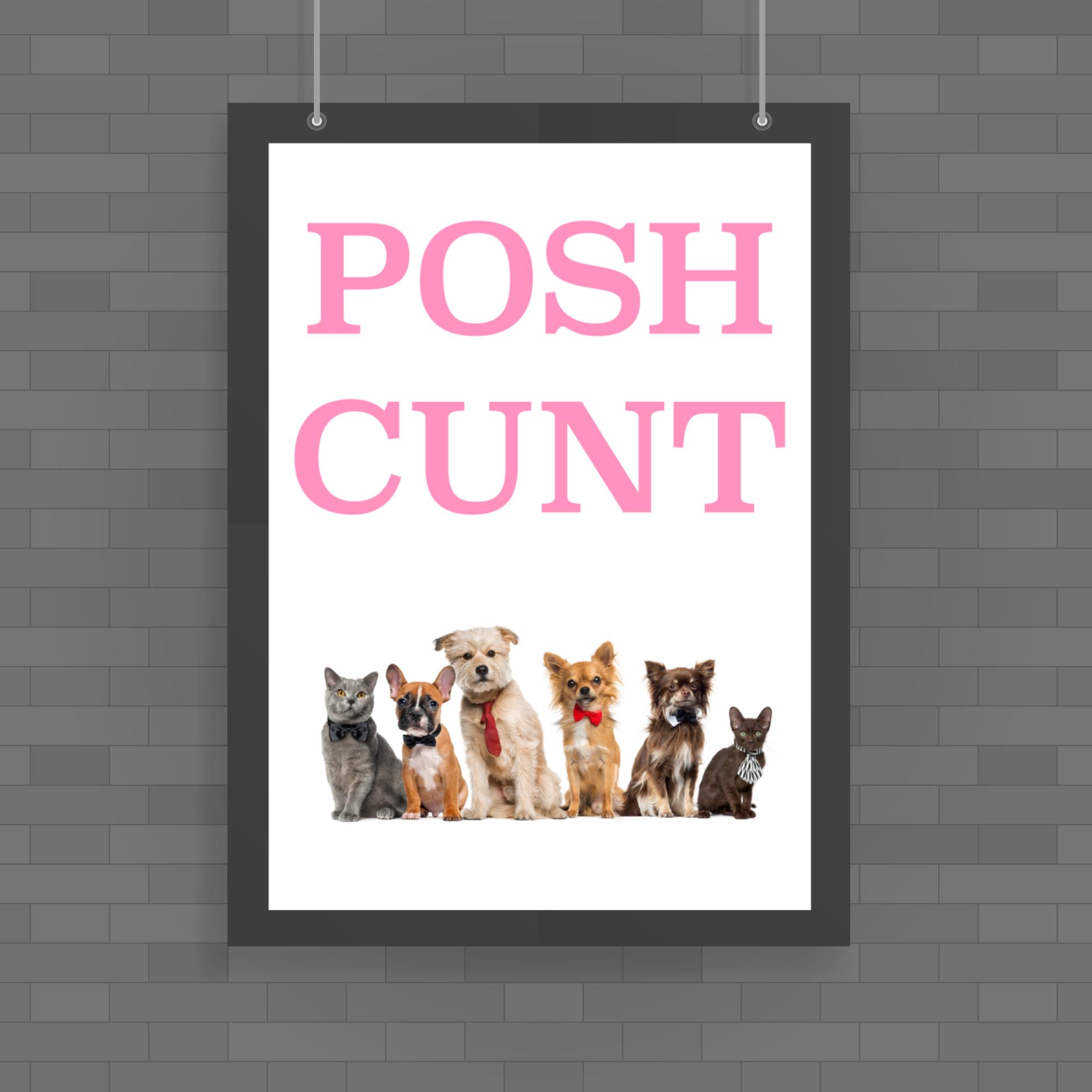 Posh Cunt Poster Rude Posters Slightly Disturbed