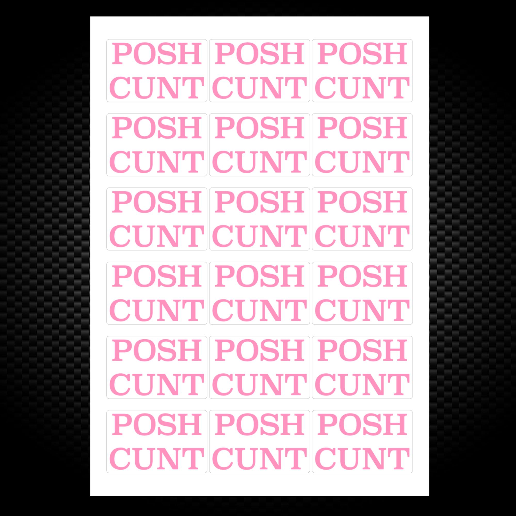 Posh Cunt Sticker Pack Rude Stickers Slightly Disturbed