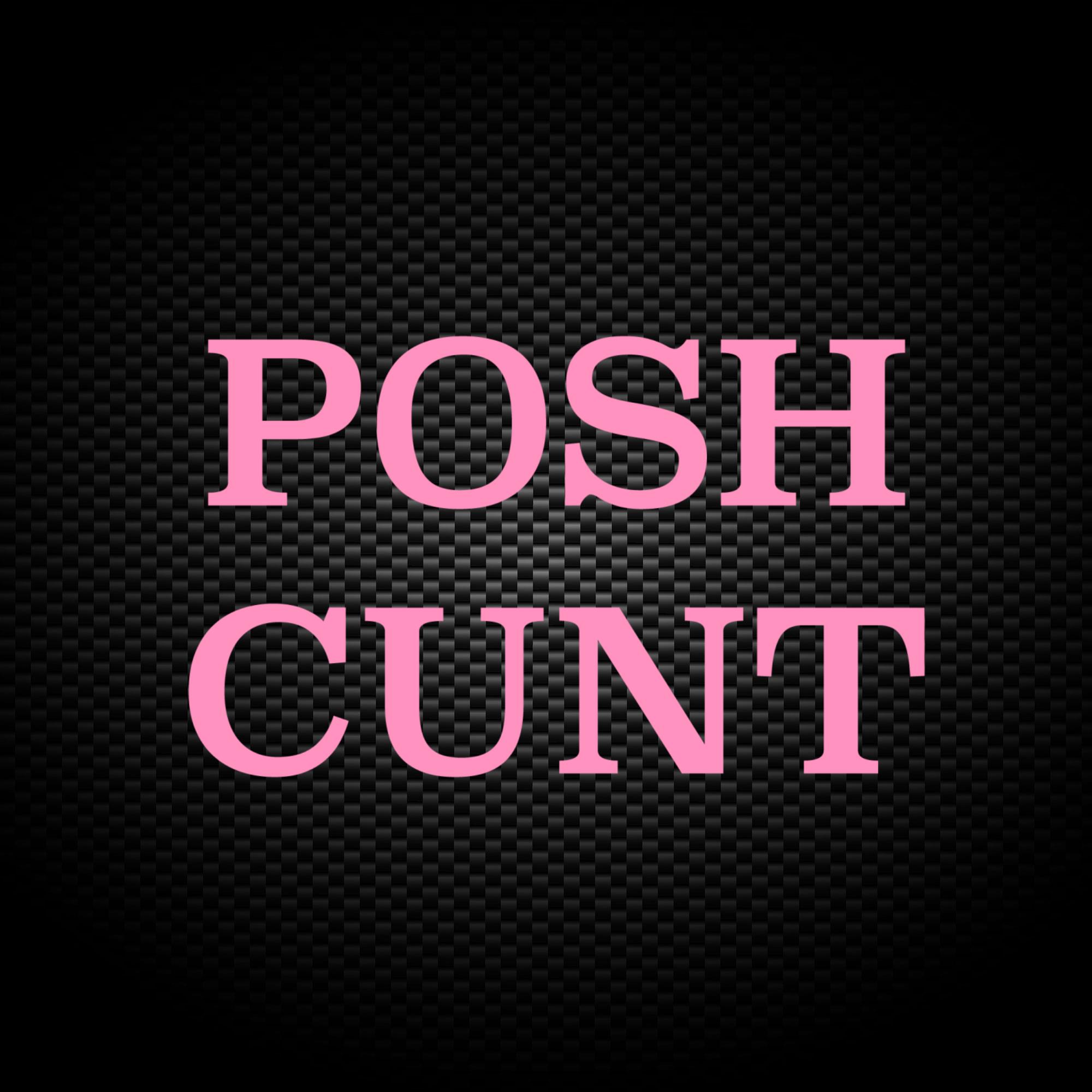 Posh Cunt Vinyl Sticker Rude Decals Slightly Disturbed 