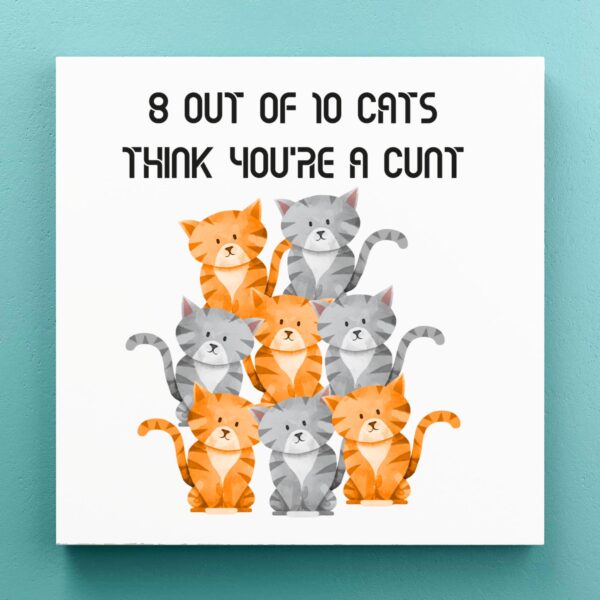 8 Out Of 10 Cats - Rude Canvas Prints - Slightly Disturbed - Image 1 of 1