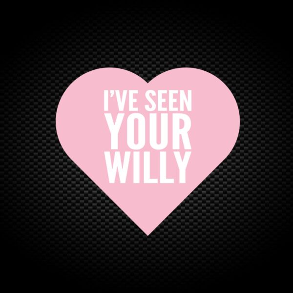 I've Seen Your Willy - Rude Vinyl Stickers - Slightly Disturbed - Image 1 of 1