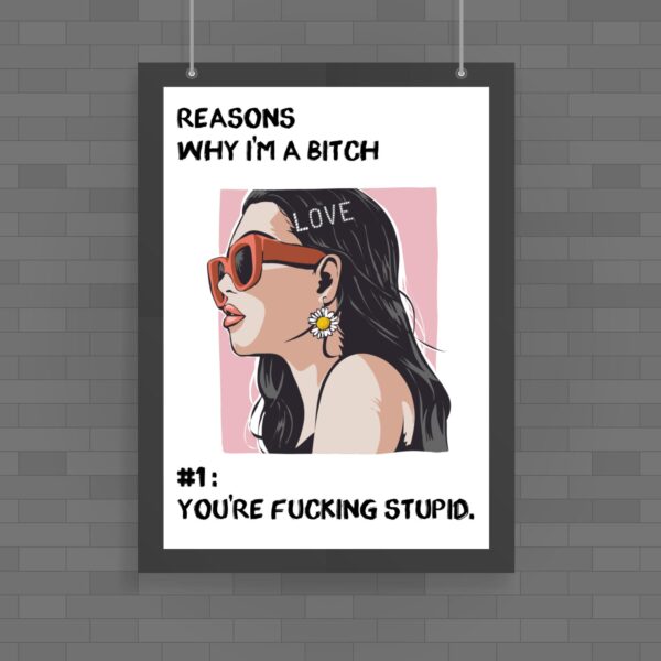 Reasons Why I'm A Bitch - Rude Posters - Slightly Disturbed - Image 1 of 1