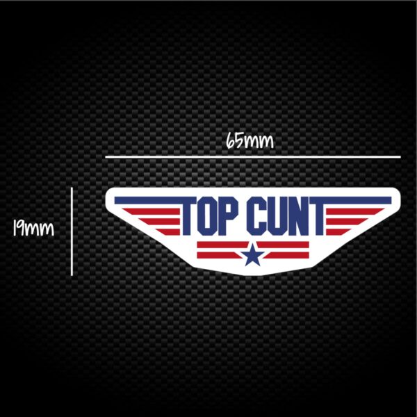 Top Cunt Sticker Pack Rude Stickers Slightly Disturbed 