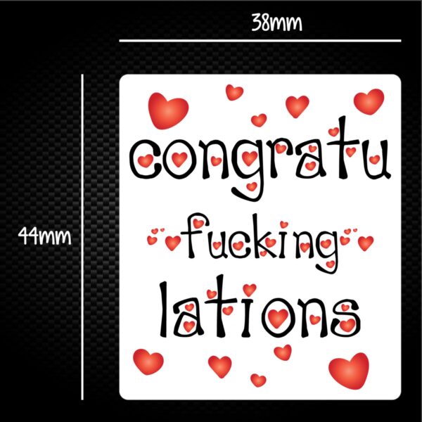 Congratu-fucking-lations - Rude Sticker Packs - Slightly Disturbed - Image 1 of 1