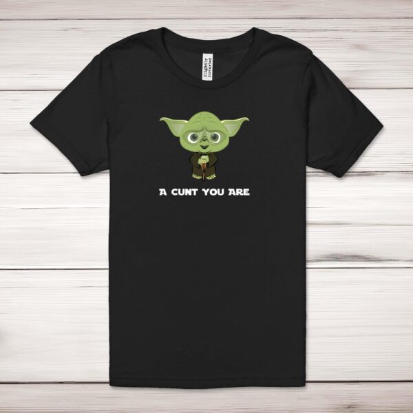 A Cunt You Are - Rude Adult T-Shirts - Slightly Disturbed - Image 1 of 10