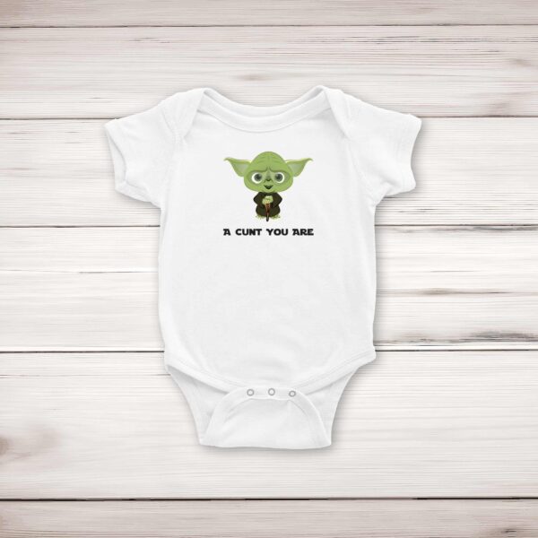 A Cunt You Are - Rude Babygrows & Sleepsuits - Slightly Disturbed - Image 1 of 4