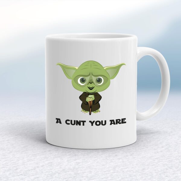 A Cunt You Are - Rude Mugs - Slightly Disturbed - Image 1 of 18