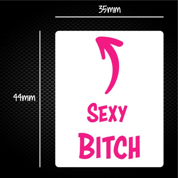 Sexy Bitch Sticker Pack Rude Stickers Slightly Disturbed 