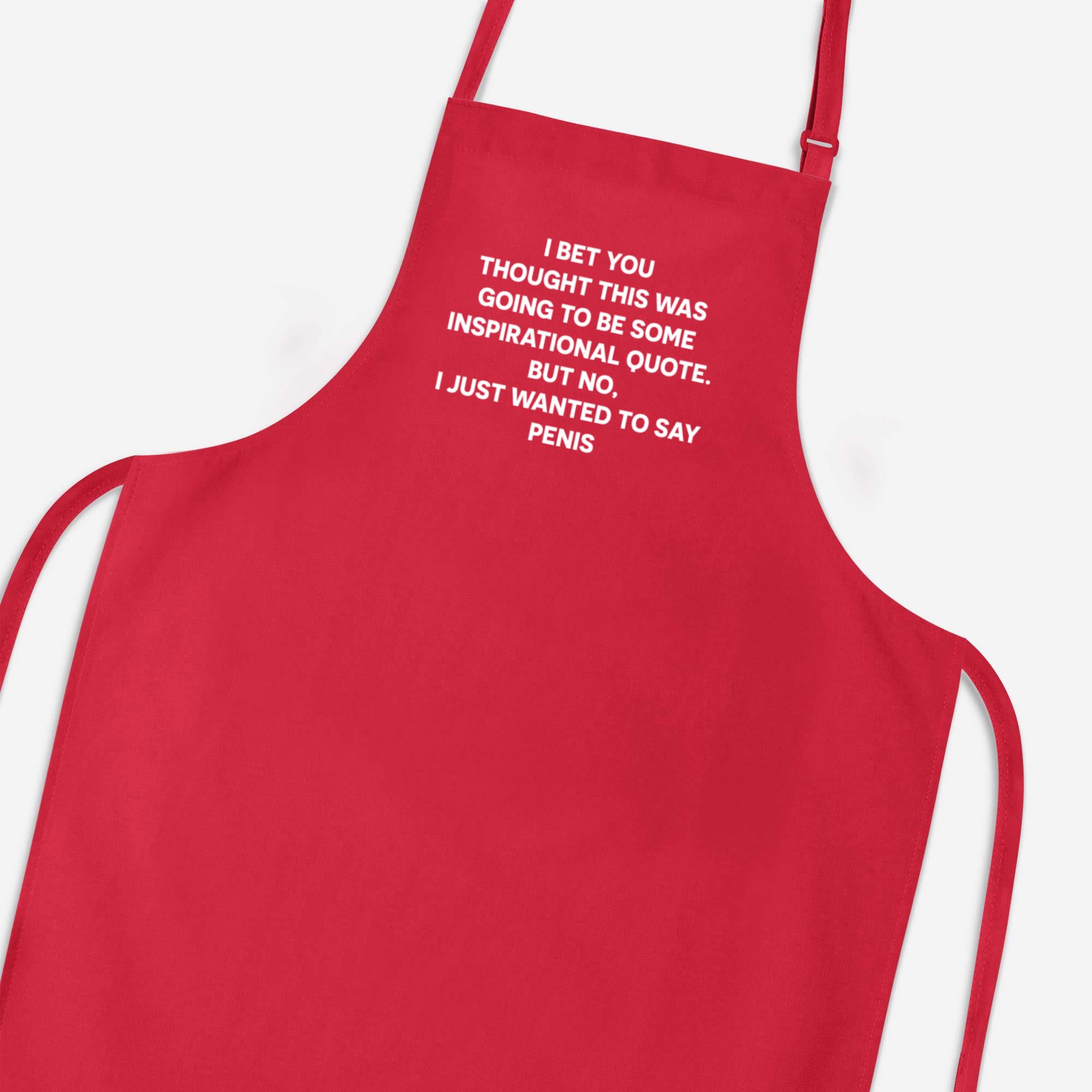 Inspirational Quote Penis Apron Rude Aprons Slightly Disturbed