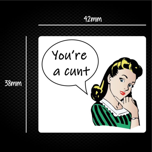 Speech Bubble Cunt Sticker Pack Rude Stickers Slightly Disturbed 