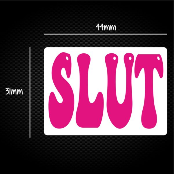 Pink Slut Sticker Pack Rude Stickers Slightly Disturbed 