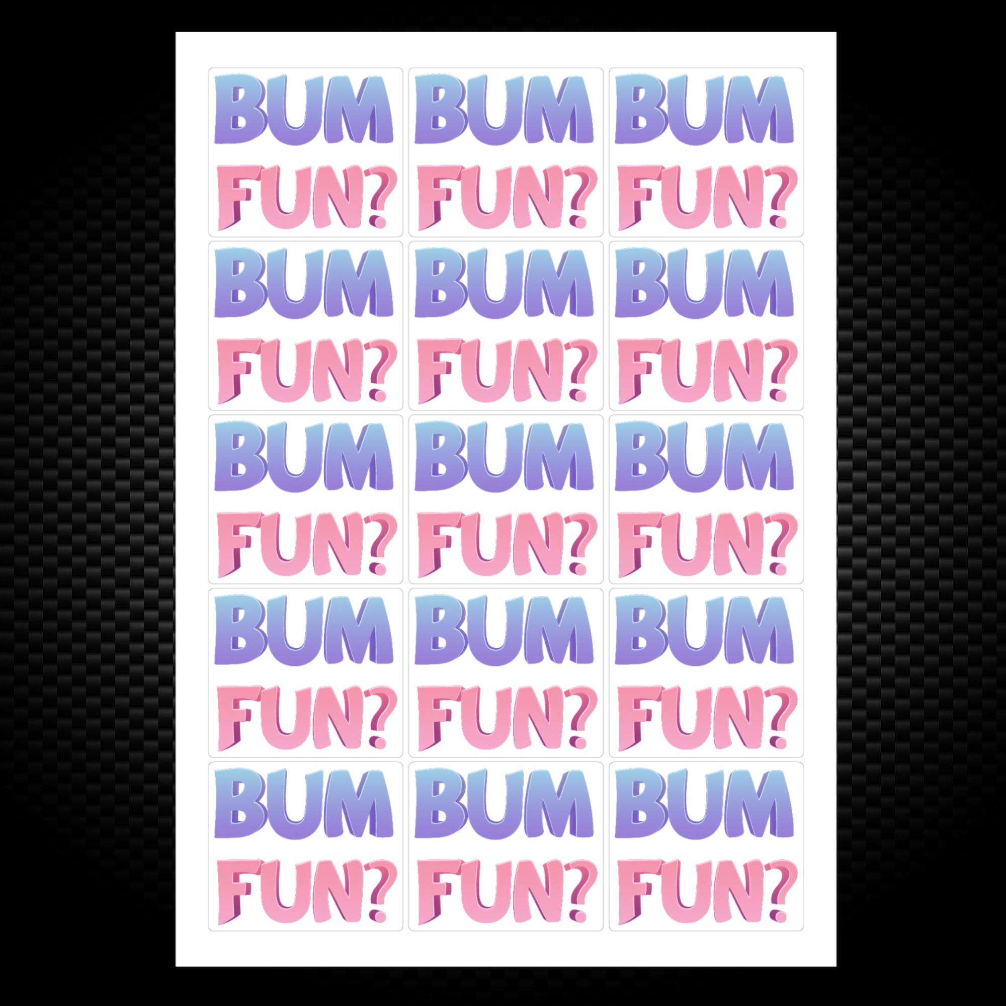 Bum Fun Sticker Pack Rude Stickers Slightly Disturbed 