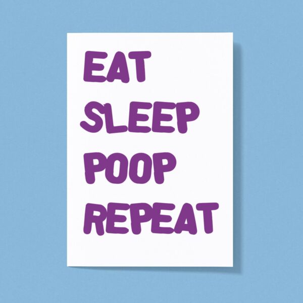 Eat Sleep Poop Repeat - Novelty Greeting Cards - Slightly Disturbed - Image 1 of 1
