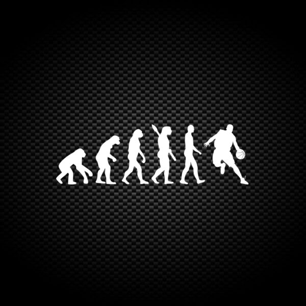 Evolution Of A Basketball Player - Novelty Vinyl Stickers - Slightly Disturbed - Image 1 of 2