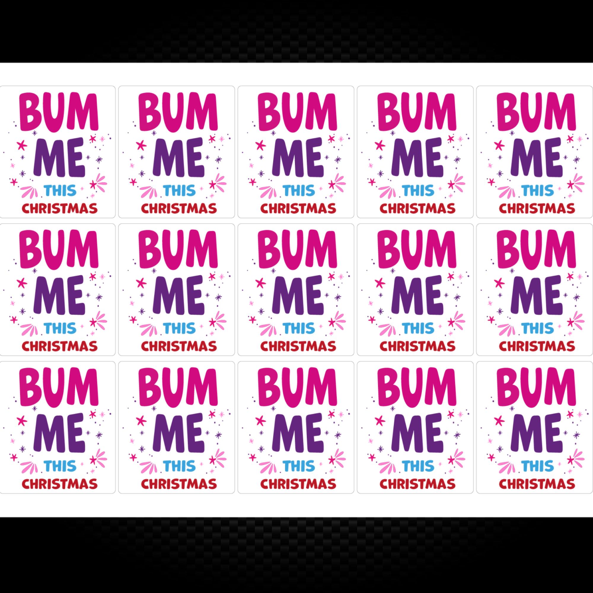 Bum Me This Christmas Sticker Pack Rude Stickers Slightly Disturbed