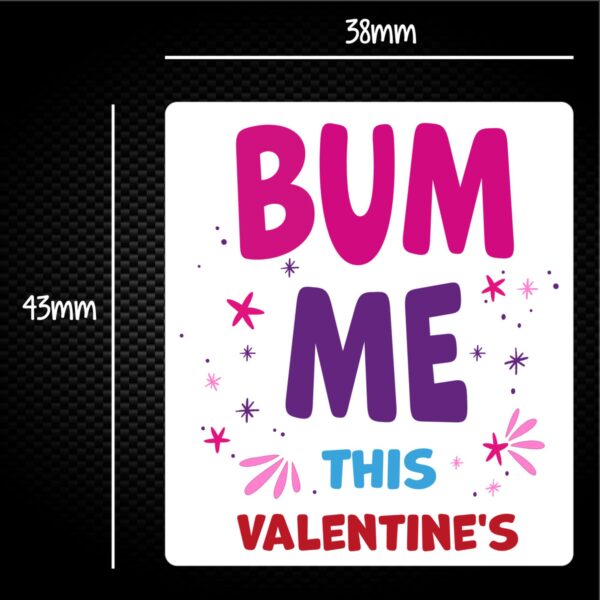 Bum Me This Valentine's - Rude Sticker Packs - Slightly Disturbed - Image 1 of 1